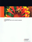 Cover of The Euromoney International Debt Capital Markets Handbook 2010