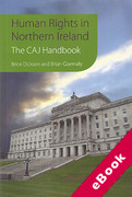 Cover of Human Rights in Northern Ireland: The CAJ Handbook (eBook)