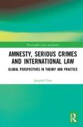 Cover of Amnesty, Serious Crimes and International Law: Global Perspectives in Theory and Practice